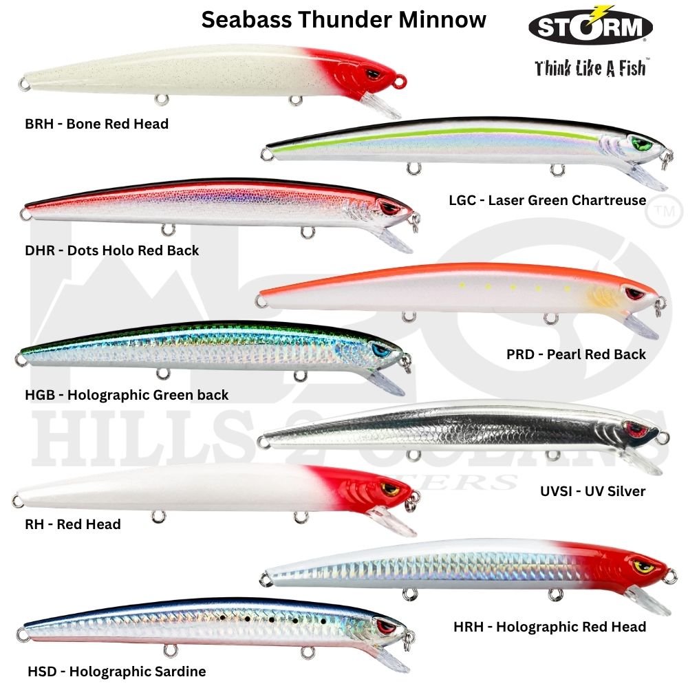 Storm Seabass Thunder Minnow Lure
