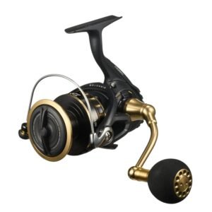 Daiwa 2023 BG SW Spinning Reel